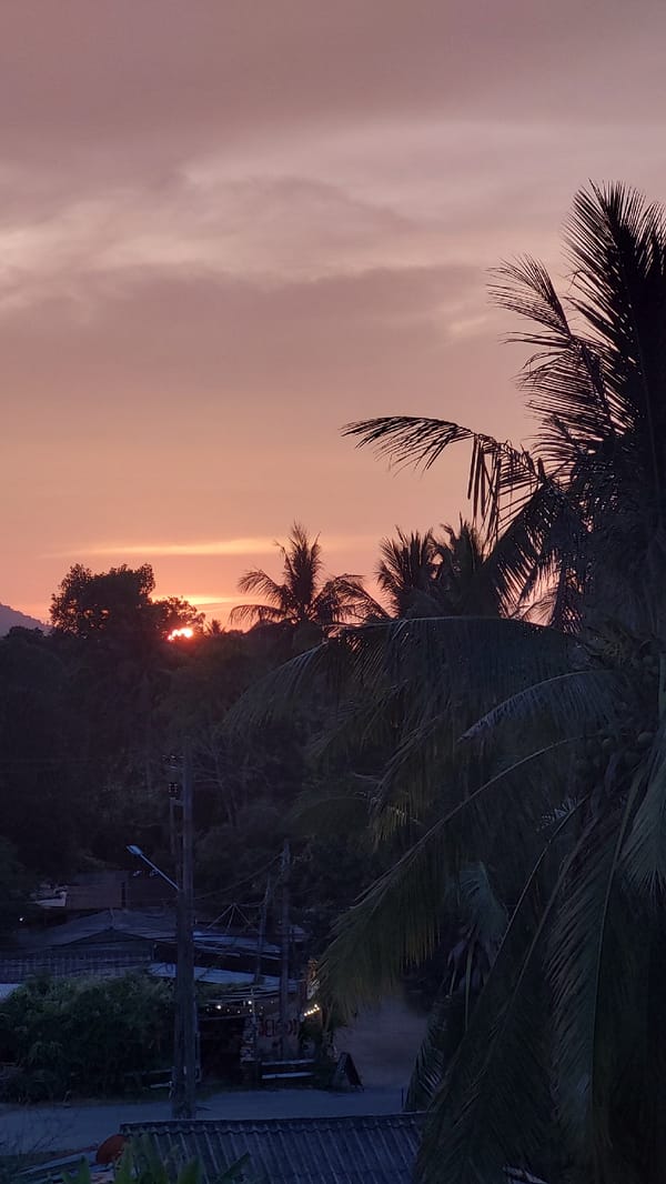 Sunset captured behind trees in Baan Mae Nam, Thailand