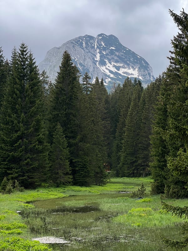 Visitor prepares for Montenegro national park entry amid mountain scenery