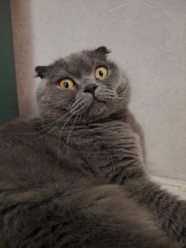 Quiet afternoon moments documented in Markovskii, Russia