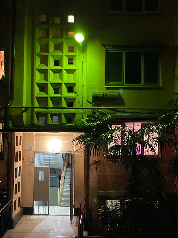 Nighttime urban walk through Sochi captures buildings, cat, market