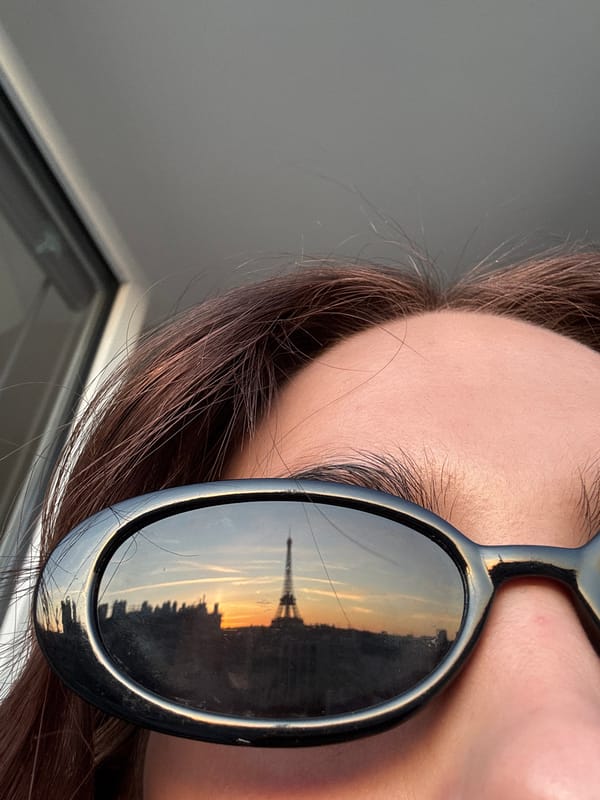 Sunset illuminates Eiffel Tower in Paris evening scene