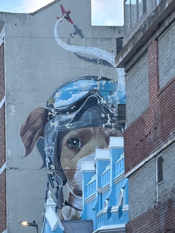 Cape Town dining district captured in restaurant interiors and street art