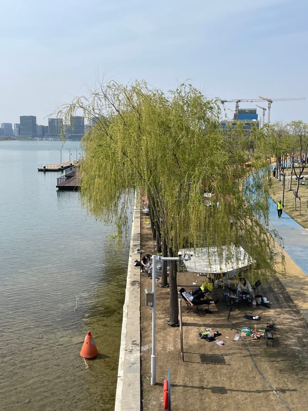 Couple takes morning selfie at Jinshui District waterfront