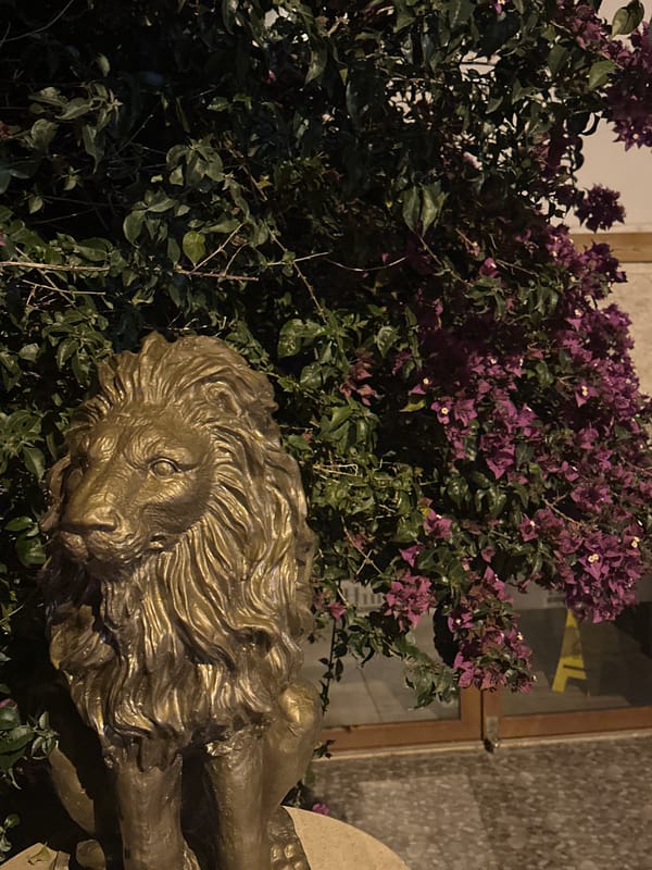 Bronze lion statue spotted among bougainvillea in Kaş, Turkey