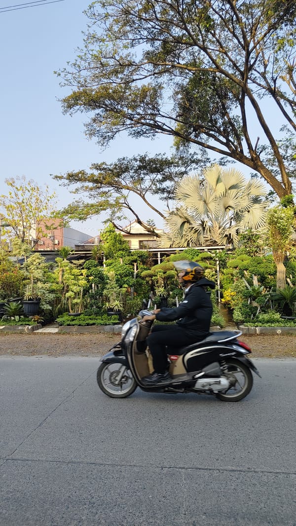 Roadside plant nursery and street traffic in Bekasi