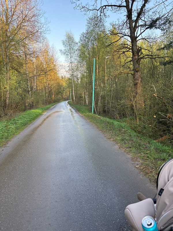 Woman documents rural Russian village scenes during afternoon walk