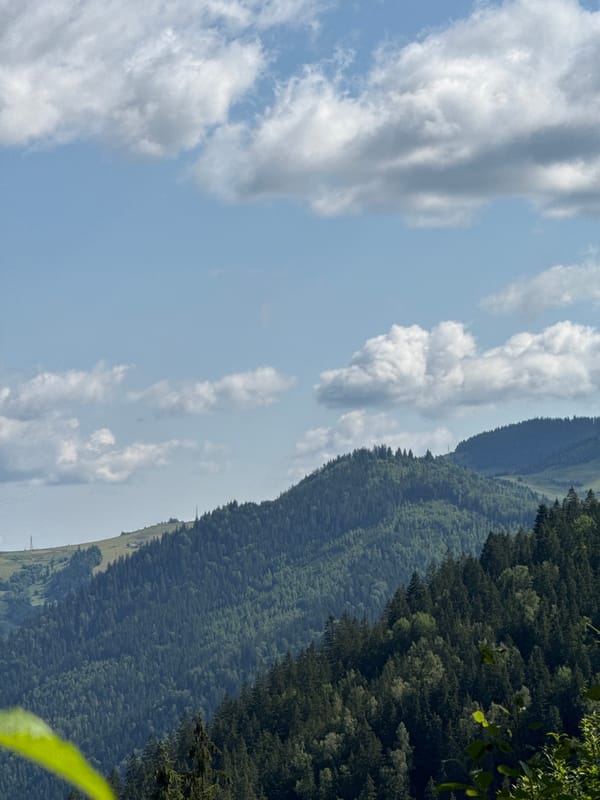 Carpathian forest and mountain scenery around Kryvorivnia, Ukraine