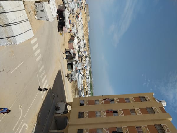 Khan Yunis residents document birds, damage, and daily life