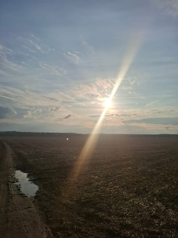 Person in headphones observed in rural Khlevnoye field at sunset