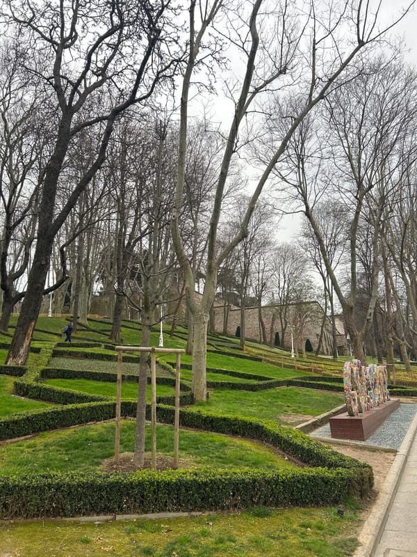 Spring tulips and distinctive cat captured at Istanbul's Gülhane Park