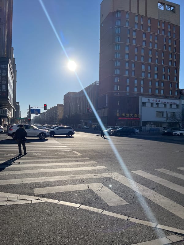 Sunny afternoon street scenes documented in Changchun City