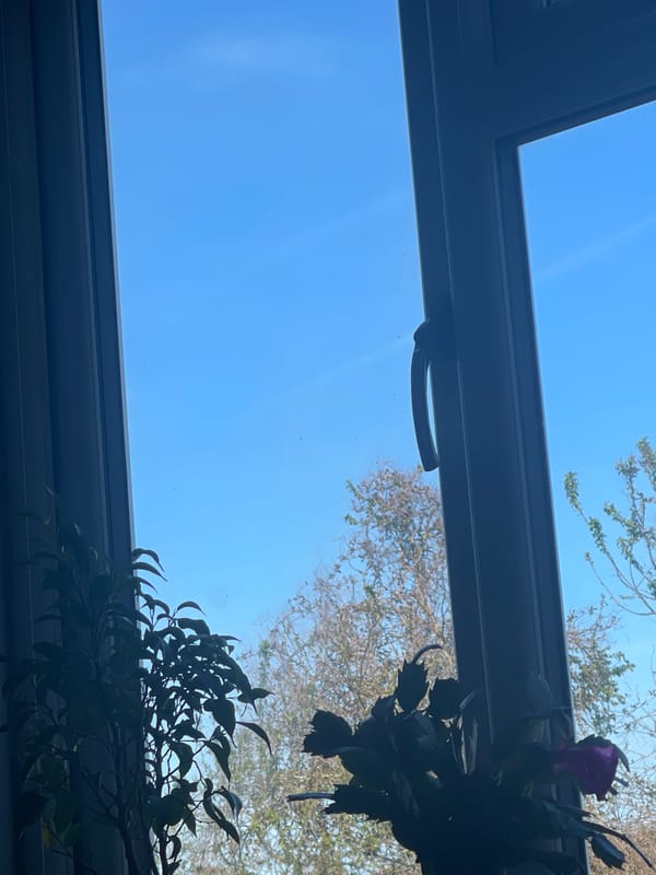 Quiet Monday afternoon moments captured in Maidstone homes