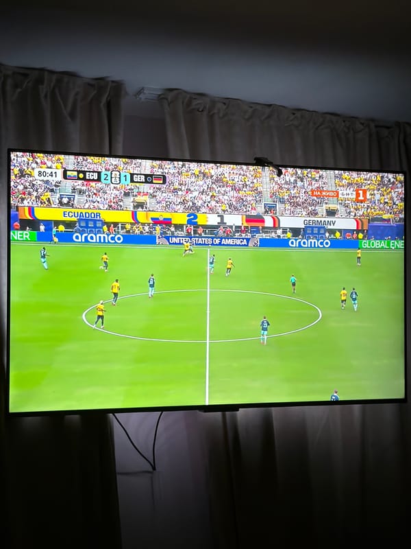 TV flips from soccer match to koala footage late evening