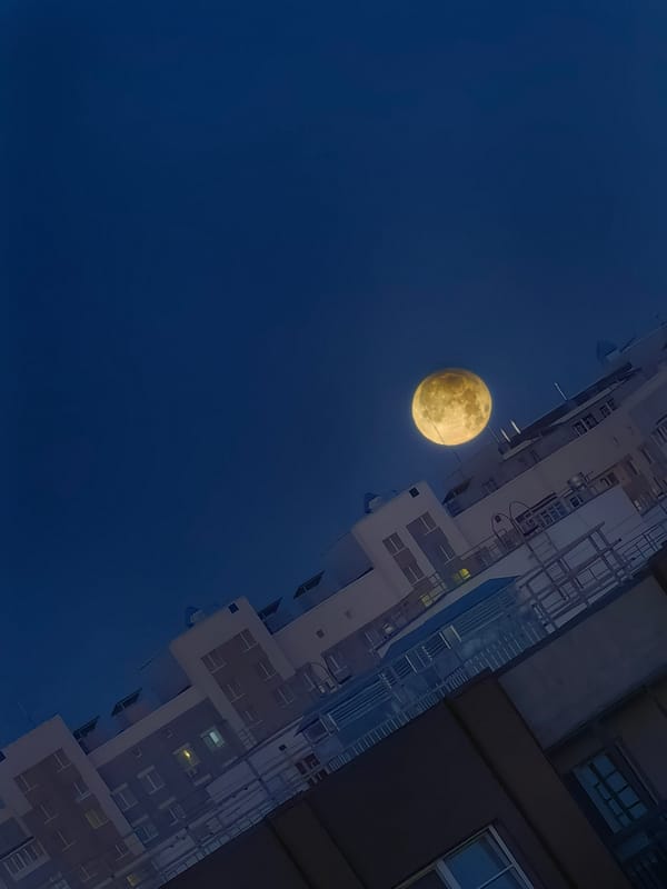 Sun, moon, and stars across city and forest skies