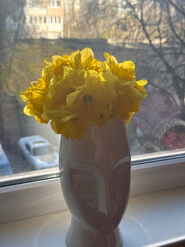 Morning domestic scene with flowers and medications in Kyiv