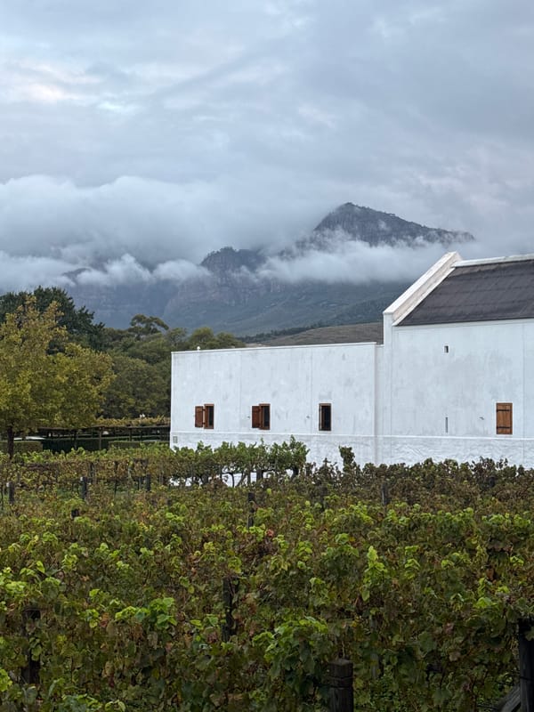Vineyard landscape captured in Drakenstein Nu, South Africa