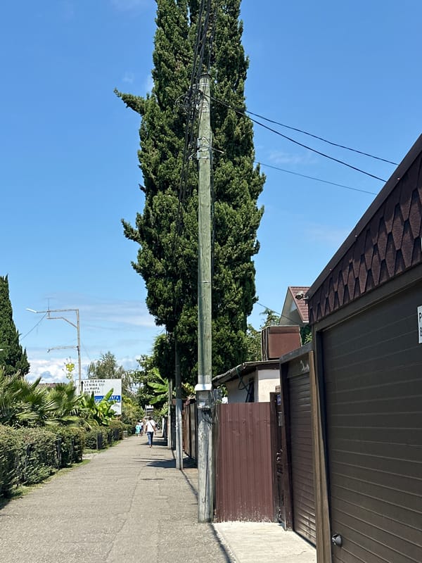 Sunny street-level tour through Sochi's palm-lined resort neighborhoods