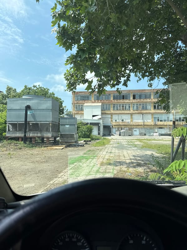 Driver observed in Mercedes van, Stara Zagora, Bulgaria