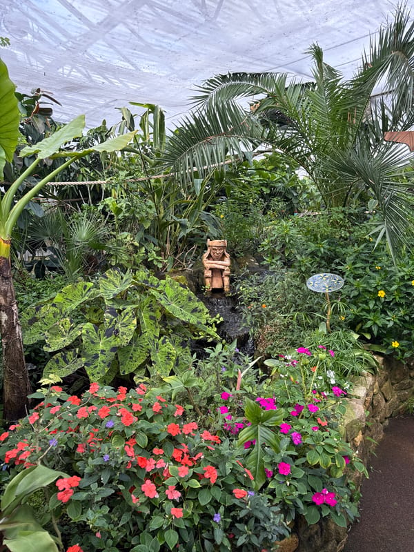 Visitor documents butterflies, plants during Stratford greenhouse morning visit