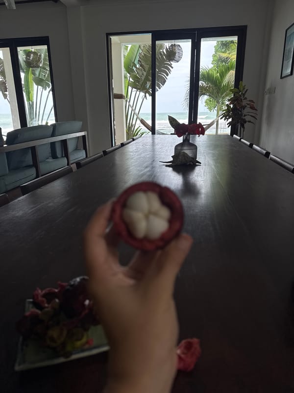 Mangosteens at a Sri Lankan beachside property