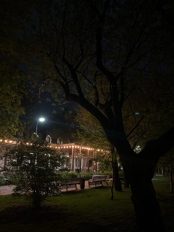 Person playfully runs through illuminated Krasnoyarsk park at night