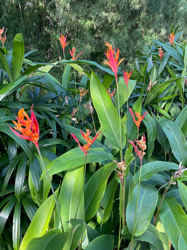 Morning scenes of tropical gardens and bronze statues in Kuta Selatan