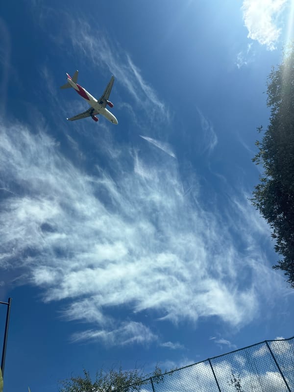 Commercial airplane observed flying over Llanogrande, Colombia