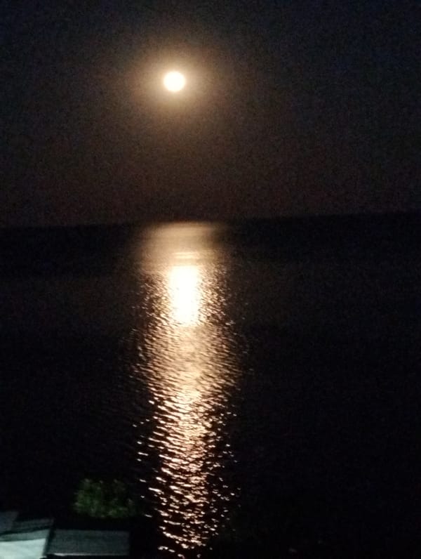 Full moon reflects over Odesa's waterfront at night