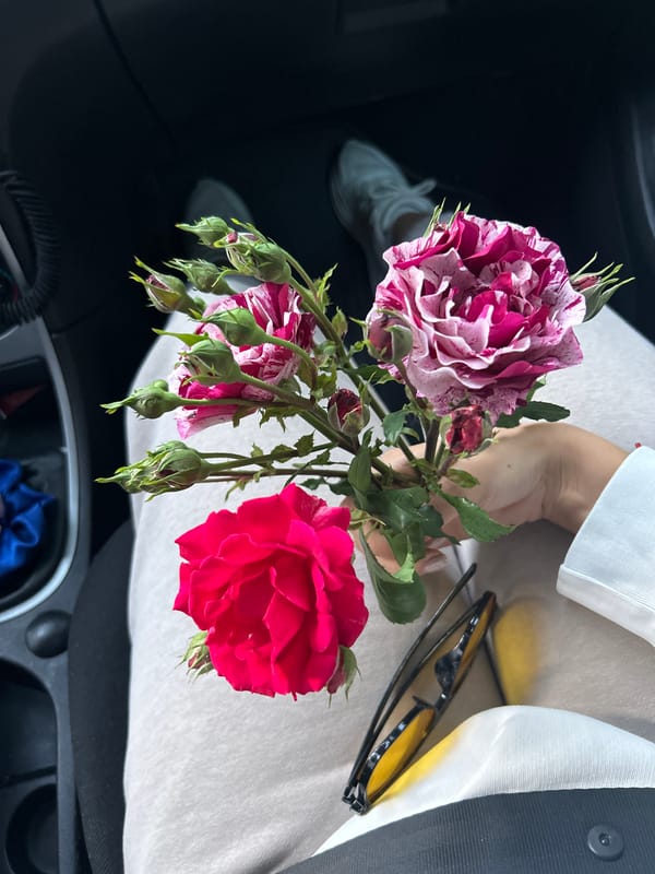 Person spotted with roses, food, coffee in urban setting