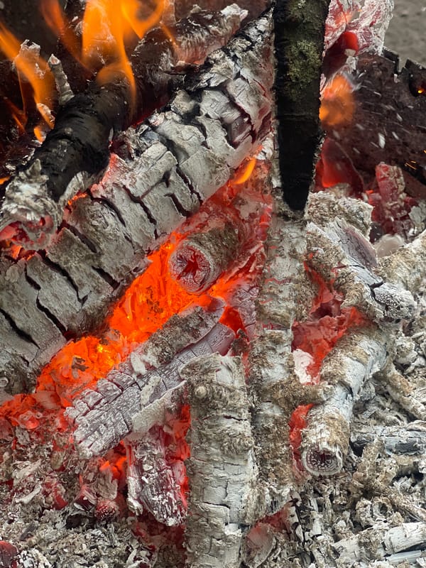 Outdoor barbecue and cherry picking documented in Novyi Tahamlyk
