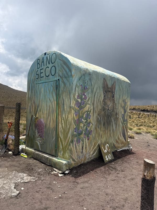 Hiker spotted on decorated mountain trail in central Mexico