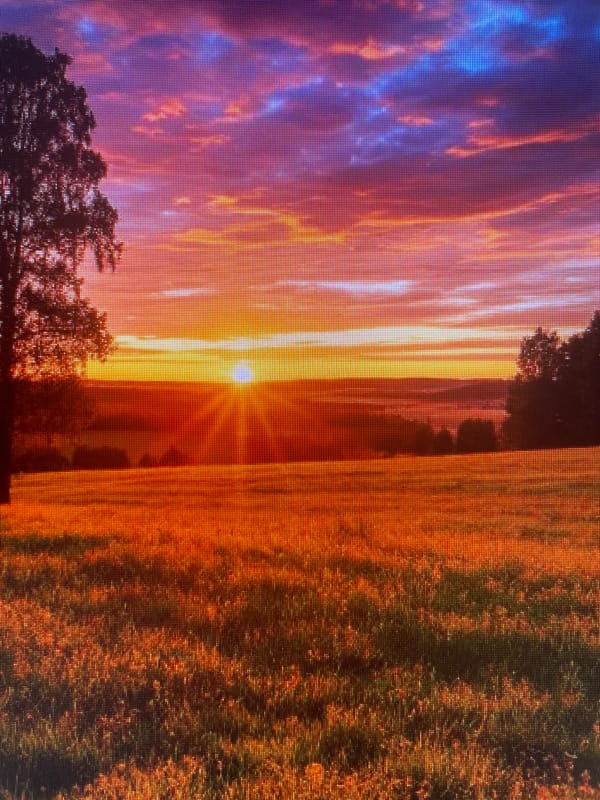 Vivid sky over Russian rural landscape, golden hour