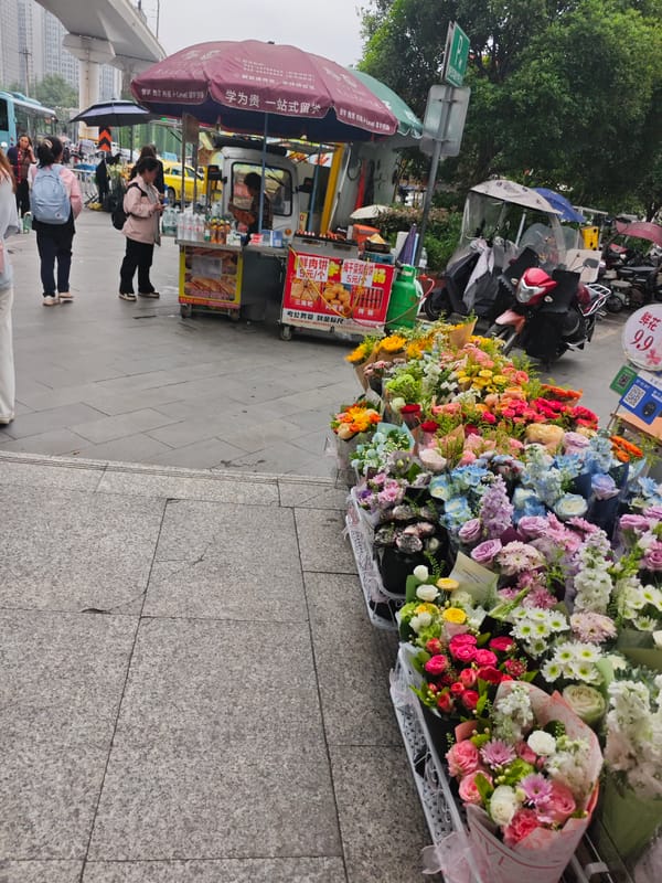 Early morning scenes captured in Chongqing High-tech Zone