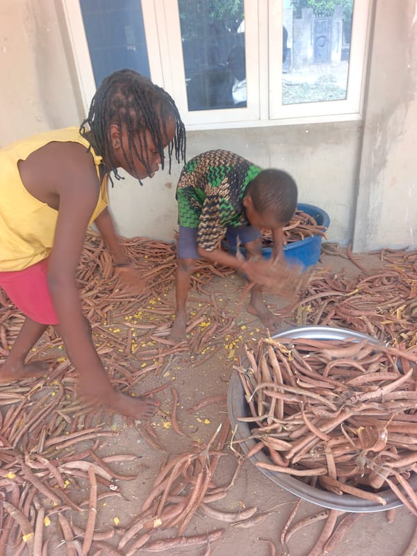 Children shell beans outside building