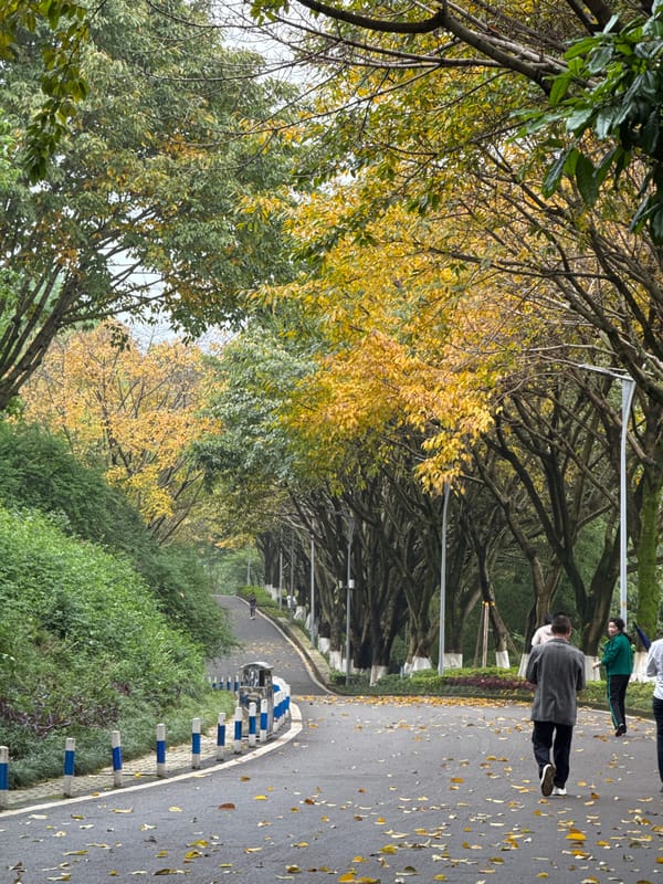 Rain-soaked autumn scenes documented across Liangjiang, China