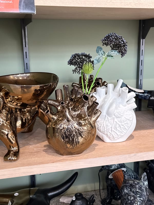 Cape Town street scenes and retail displays documented