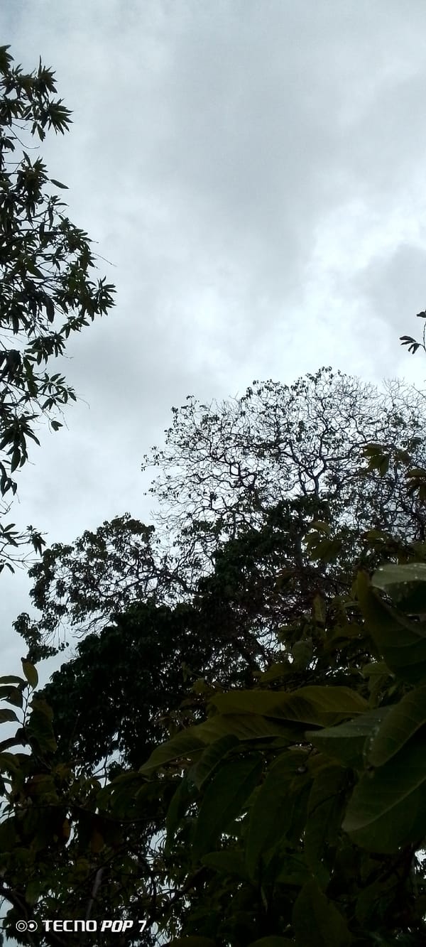 Overcast evening skies documented in Altagracia, Venezuela