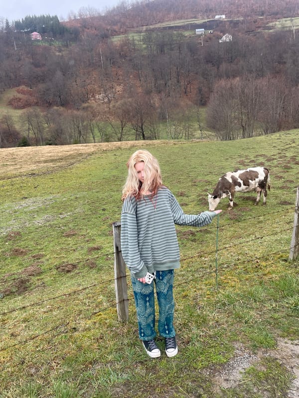 Rural life documented in Lepenac, Montenegro countryside
