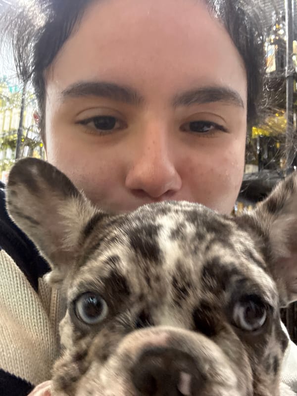 Late night puppy photos captured in Austin