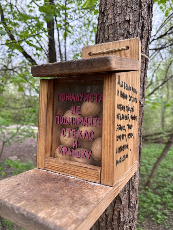 Squirrel feeder with walnuts spotted in Moscow park