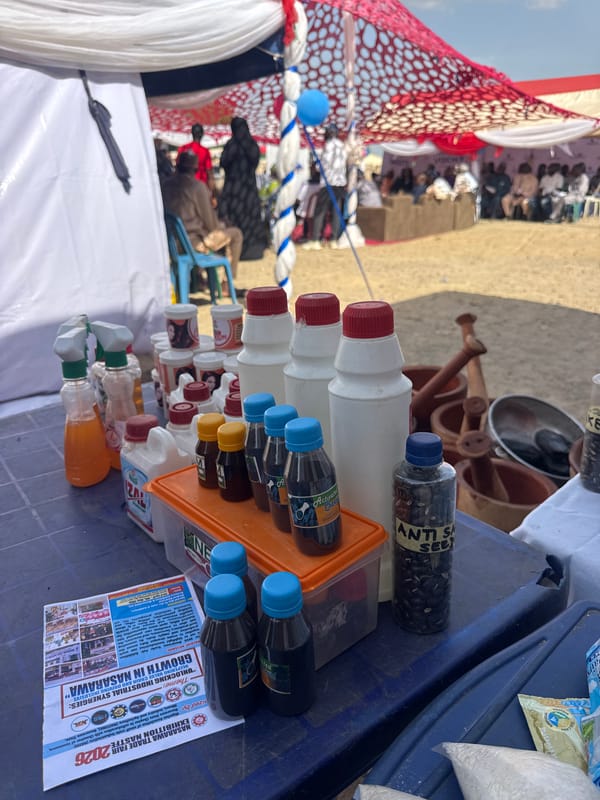 Trade fair draws crowds to outdoor venue in Lafia