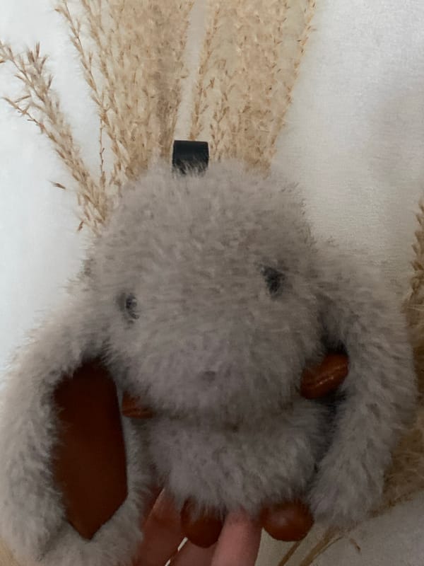 Plush toys, a pet chinchilla, and apples at home in Moldova