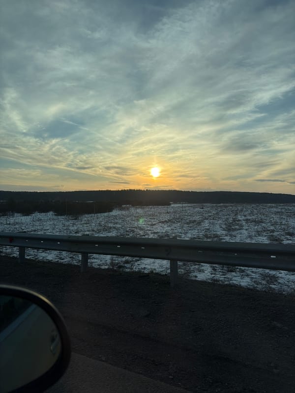 Vehicle passenger captures countryside road view near Chernovskoye, Russia