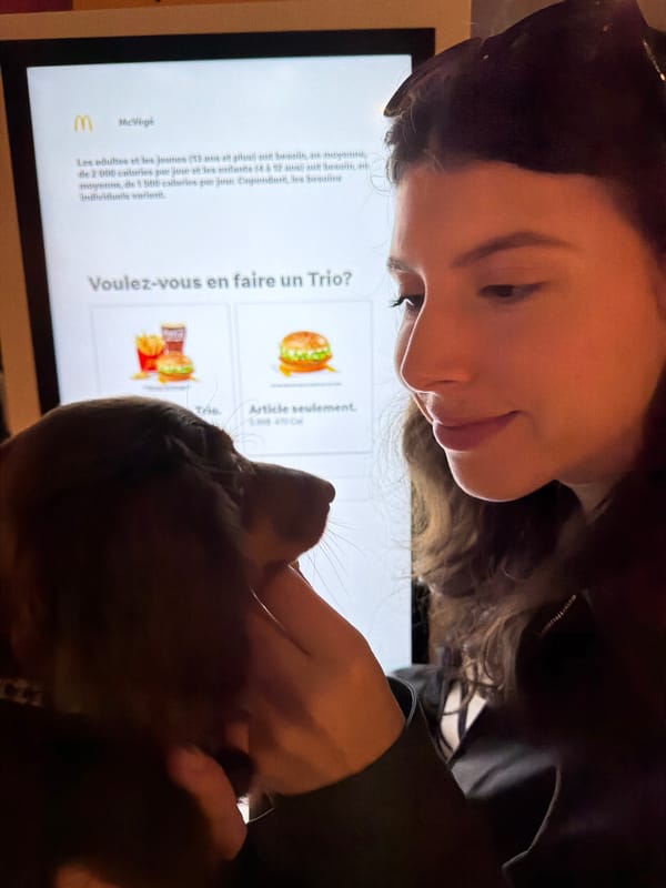 Late-night McDonald's visit with dachshund documented in Montreal