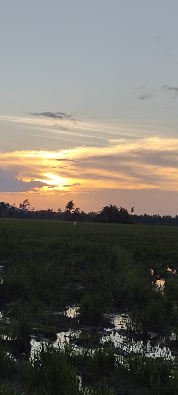 Rural Indonesian village life documented through family gatherings, rice fields