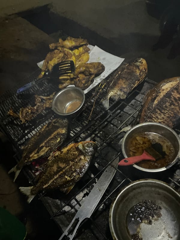 Evening outdoor grilling gathering documented in Jos, Nigeria