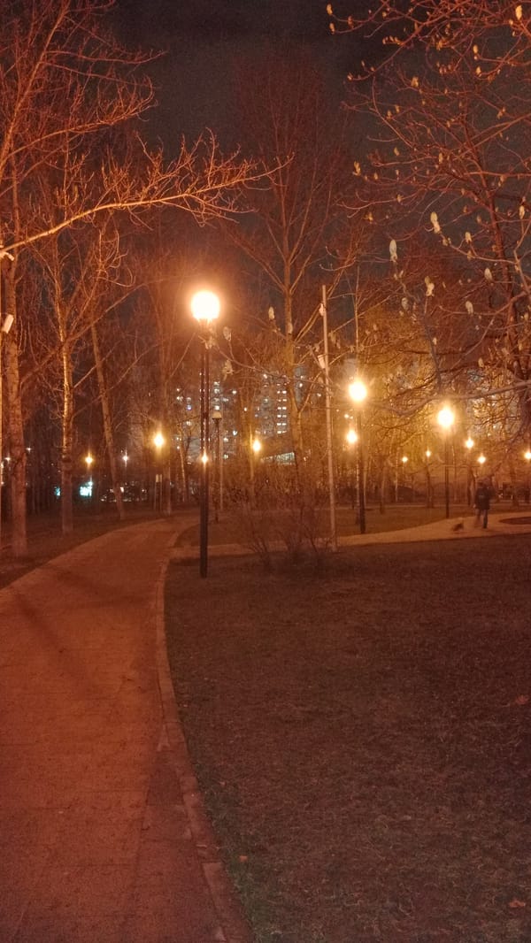 Moscow park visitor documents peaceful spring evening walk