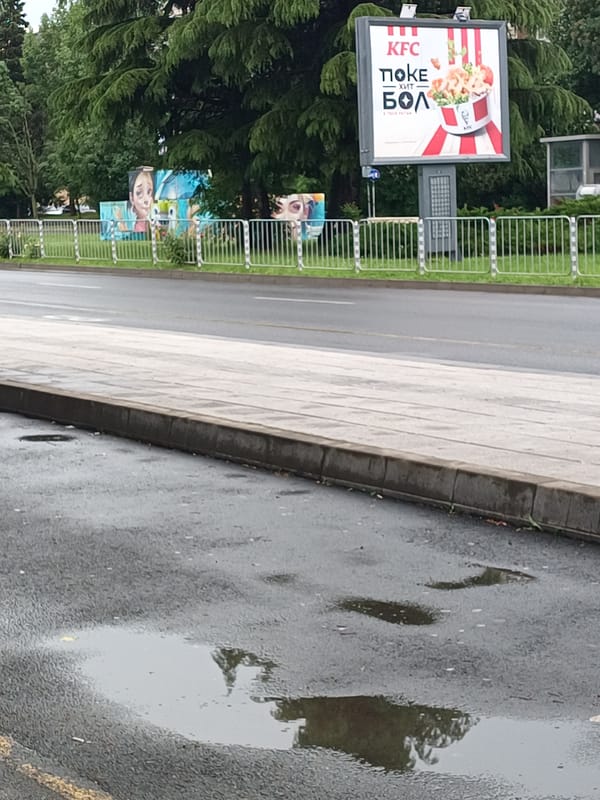 Post-rain scenes captured in Burgas, Bulgaria streets and vegetation