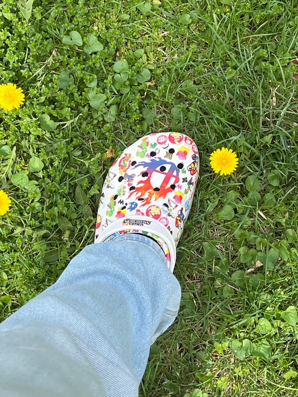 Spring garden stroll in Naperville features gaming-themed footwear, blooming tulips
