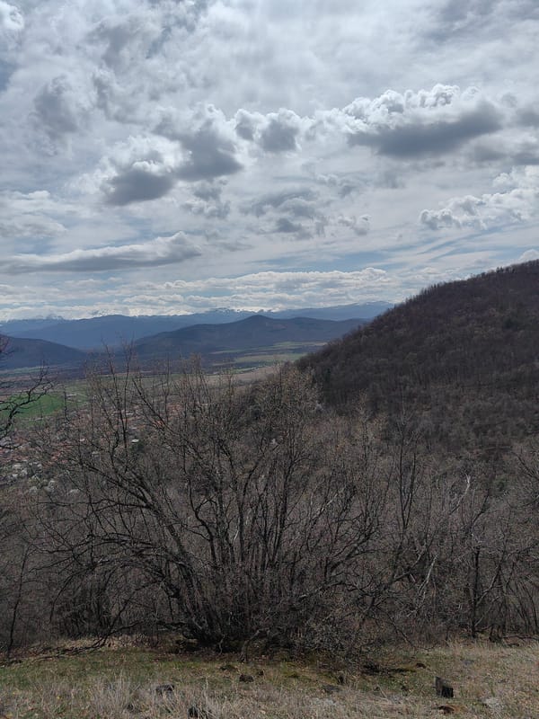 Overcast morning landscape documented in rural Vrabevo, Bulgaria
